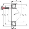 FAG/Schaeffler Technologies 7305-B-XL-2RS-TVP ANGULAR CONT. BALL SINGLE ROW - Image 6