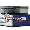 NAC JAPAN 6305 NR Deep Groove Ball Bearing, Open, No Seals + Snap RIing 25x62x17 mm
