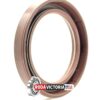 DICHTOMATIK Oil Seals 50x70x10 mm Double Lip Viton - Image 4