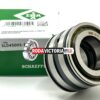 INA SL045005 PP Cylindical Roller Bearing,  Rubber Sealed 25x47x30 mm