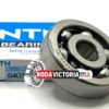 NTN JAPAN 6403 Deep Groove Ball Bearing, Open, No Seals 17x62x17 mm