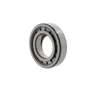 SKF - Cylindrical roller bearings BC1-0013  E