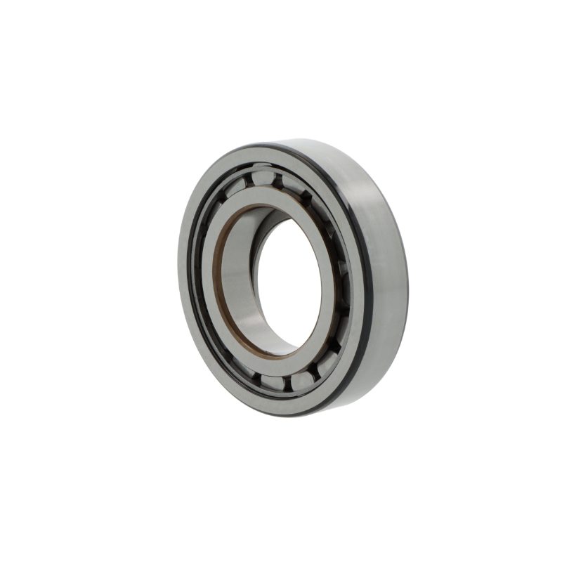 SKF - Cylindrical roller bearings BC1-0313