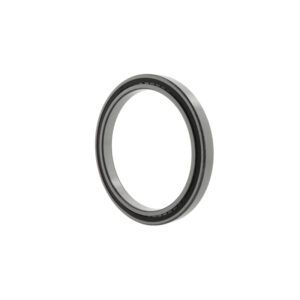 INA - Cylindrical roller bearings SL182228 -TB