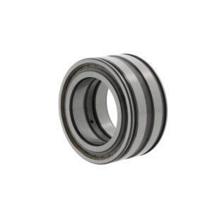 INA - Cylindrical roller bearings SL045006 -PP