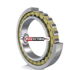 FAG NU1088 TB M1 Cylindrical Roller Bearing 440x650x94 mm