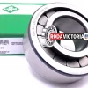 INA SL192309 Cylindrical Roller Ball Bearing 45x100x36 mm