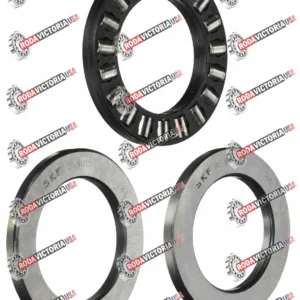 SKF 81105 TN Axial Cylindrical Roller Bearing 25x42x11 mm